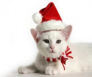 пазл белый кот с Санта-Клаусом шляпы